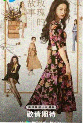 《龙凤店传奇》